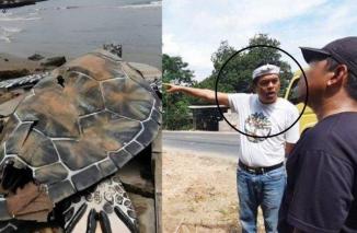 PEMBELAAN Pihak Proyek usai Ketahuan Patung Penyu dari Kardus,Dedi Mulyadi Gubernur Jabar Ngamuk