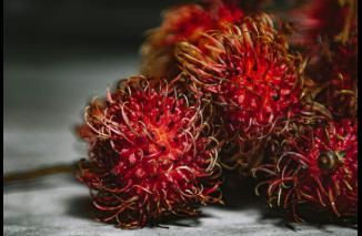 Penyakit Apa yang Bisa Diredakan dengan Makan Rambutan? Berikut 7 Daftarnya