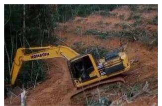 DLHK Riau Harus Bertindak! Dugaan Perambahan Hutan oleh Anggota DPRD Riau Berinisial K Harus Diusut Tuntas