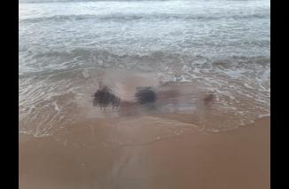 Penemuan jenazah tergeletak dipantai Tanjung ular desa Air putih.kecamatan Mentok Bangka Barat