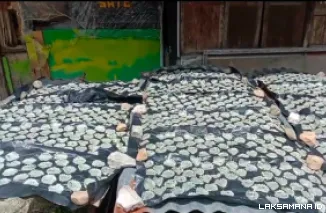 Kerupuk Rigi Pandam Gadang Serap 30 Ton Ubi per Bulan, Dongkrak Ekonomi Warga