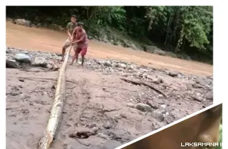 Warga Pohuwato Digigit dan Dililit Ular Piton Saat Turun dari Hutan Tambang Marisa