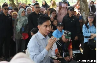 Gibran Turun Gunung! Petani Singkong Lampung Timur Minta Harga Rp2.500/Kg, Jalan Rusak hingga Irigasi Jadi Sorotan