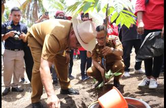 Gubernur Maluku Instruksikan “Galakkan Tanam  Sukun Sebagai Pangan Lokal”