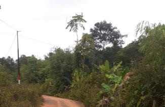 Jalan Arah  Menuju Desa Olung Nango Kabupaten Murung Raya Butuh Perbaikan