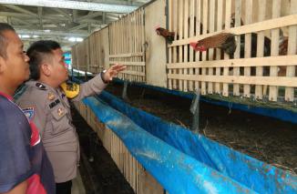 Bhabinkamtibmas Polsek Pkl. Brandan Aipda Andi Hgs Ajak Peternak Ayam Manfaatkan Limbah Menjadi Pupuk