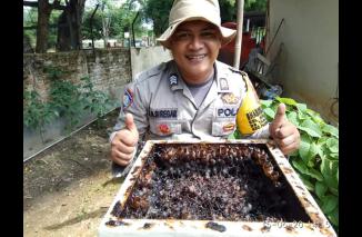 Brigadir JA Siregar Pioner Dan Pengembang Budidaya Lebah Kelulut