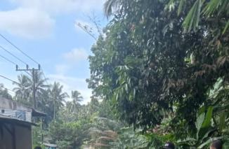 Masyarakat Desa Alaswangi Gotong Royong Tambal Jalan Penghubung Desa dengan Puing