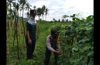 Bhabinkamtibmas Desa Selabih Dan Babinsa Bantu Masyarakat Manfaatkan Lahan Tidur