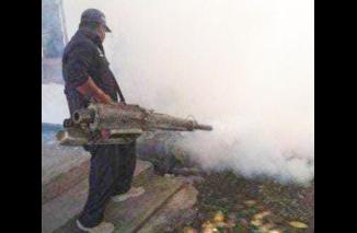 DINKES TULUNGAGUNG BERI HIMBAUAN UNTUK WASPADA ANTISIPASI WABAH CHIKUNGUNYA