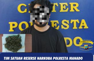 Pelaku Pengedar Narkotika Jenis Ganja Ditangkap Tim Satuan Reserse Narkoba Polresta Manado
