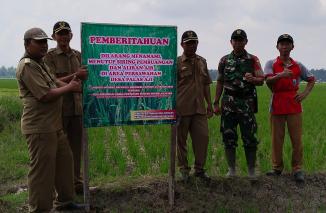 Pemerintah Desa Palas Aji Tertibkan Tanaman di Siring Saluran Air
