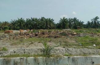 PTPN 2 Akan Lapor ke Kejatisu Terkait Dugaan Jual Beli Lahan HGU Kebun Bulu Cina