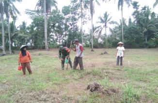 Babinsa Kodim 0421/Ls,Terjun Langsung ke Lapangan Bantu Petani