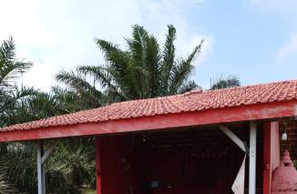 Foto Pemukiman dalam kawasan hutan.yang membutuh kan perobahan dan perhatian pemerintah pusat maupun daerah