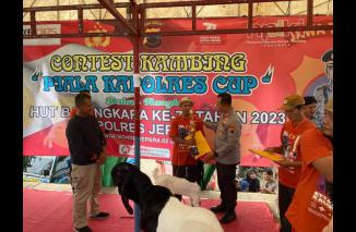 Foto Kontes Kambing 