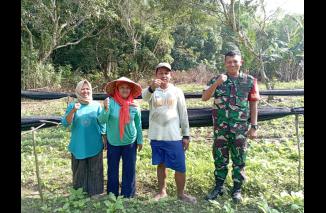 Foto Berikan motivasi, Babinsa Koramil 431-02/Mentok berharap bnyak yang bisa memanfaatkan lahan kosong