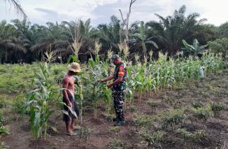 Foto Kembali Babinsa Koramil 431-03/Kelapa melaksanakan Komsos di desa binaan