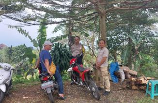 Dukung ketahanan  Pangan di Bangka Barat, Babinsa Koramil 431-02/Mentok melaksanakan Anjangsana dengan petani Cabai