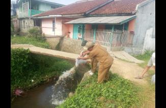 Foto Ribuan Bibit Ikan Di Tebar (Restocking) Di Sungai Cibojong Guna Mempertahankan Stok Populasi Ikan