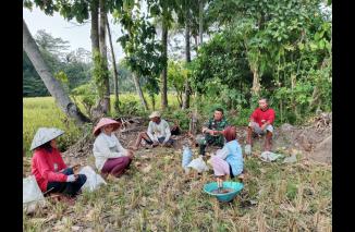 Foto Dukung ketahanan pangan, Babinsa Kodim 0421/LS Bantu Petani