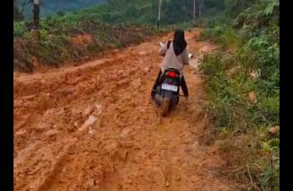 Foto Masyarakat Nagari Galugua Desak Pemerintah Segera Perbaiki Jalan Provinsi yang Rusak Parah