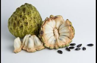 Foto Konsumsi Srikaya: Solusi untuk 6 Penyakit Ini!