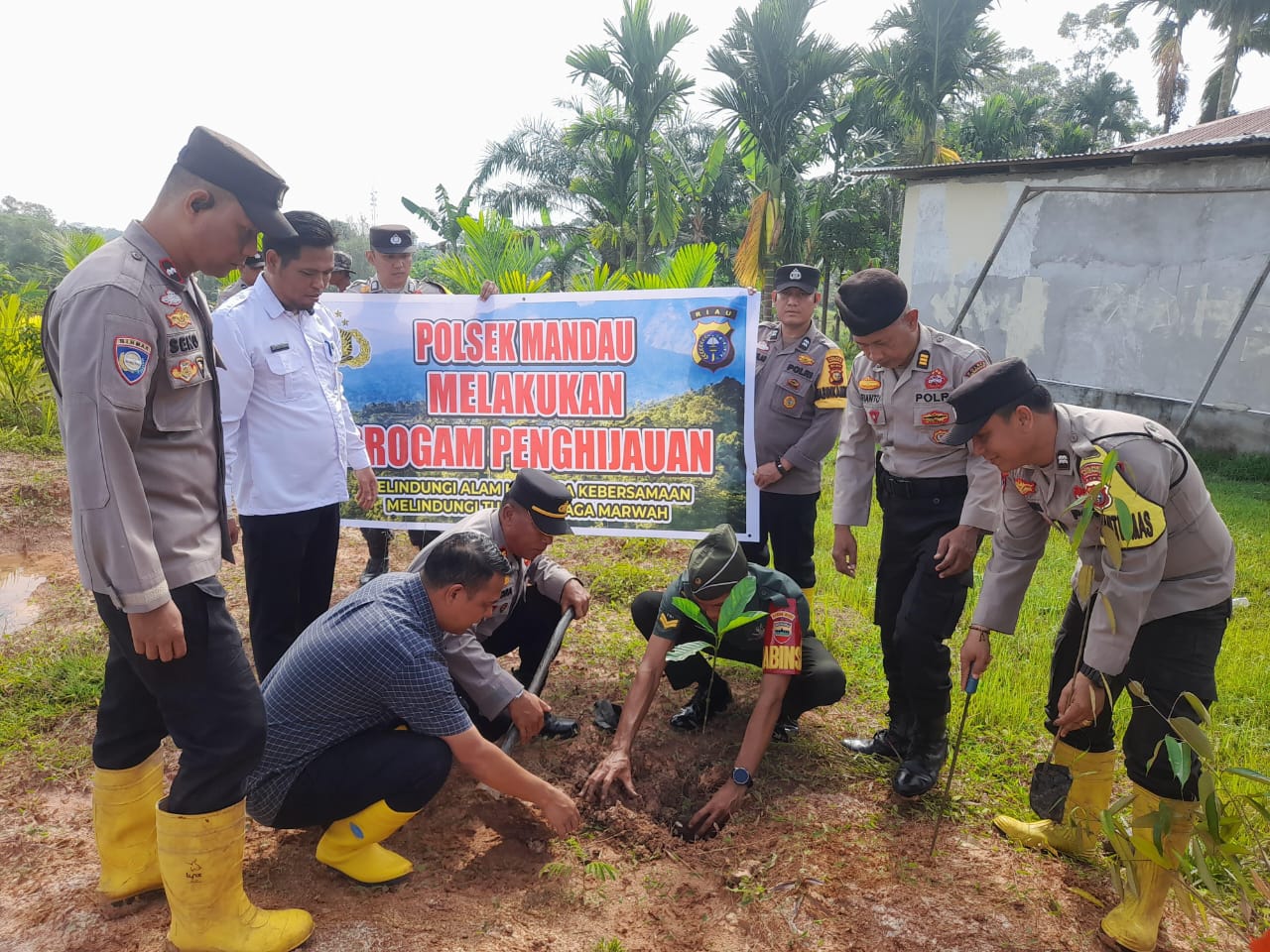 kegiatan Program penanaman Pohon personil Polsek Mandau