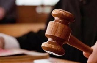 Foto Kasus Penebangan Illegal: JPU Tuntut Terdakwa di Bawah Dua Pasal Berbeda