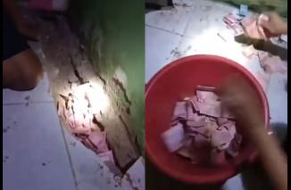 Foto Viral Video Tikus Gemar Curi Uang, Terkumpul Banyak di Bawah Tanah