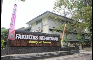 Foto Ijazah Palsu Terancam Hukuman 6 Tahun Penjara dan Denda Rp 500 Juta