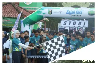 Foto Semarak Gajah Fest Elefun Run 2025, Wagub Lampung Lepas Ribuan Peserta