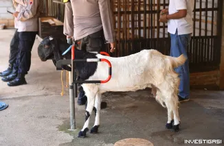 Foto Inspiratif, Kisah Polisi di Jepara Nyambi Budidaya Kambing Etawa
