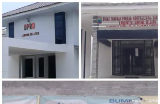 Foto Pupuk Didistribusikan Di luar HET ketua DPRD Dan Kepala Dinas Pertanian Lampung Selatan Di Duga Kompak Bungkam