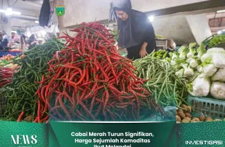Foto Cabai Merah Turun Signifikan, Harga Sejumlah Komoditas Ikut Melandai