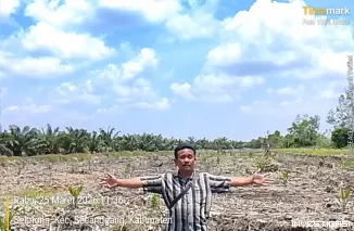 Foto Dugaan Skandal Penjualan Tanah Sempadan Sungai, Oknum Kades Tanjung Ibus Disorot Warga dan LSM