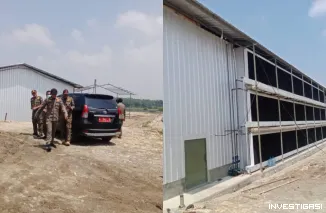 Foto Viral Satpol PP Kabupaten Serang di Nilai Tak Berfungsi, Usai Dua Kali Menyetop Aktivitas Kandang Ayam yang Kini masih Beraktivitas Di Desa Kebon Cau