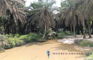 Dugaan Perusakan Sempadan Sungai Tanglo, Warga Minta Polda Riau Periksa PT SLS