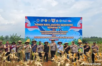 Polres Jepara Sukses Panen Raya 5 Ton Jagung, Bukti Nyata Polri Kawal Ketahanan Pangan