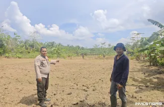Polri Dukung Ketahanan Pangan, Polsek Siak Kecil Bersama Warga Bersihkan Lahan Jagung di Sadar Jaya