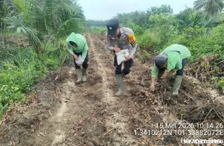 Polsek Mandau Gencarkan kegiatan pengelolaan Lahan Program Gerakan penanaman jagung seluas 1 juta hektar