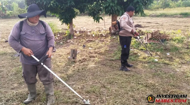 Polsek Siak Kecil Bersama Poktan Siapkan Lahan Jagung