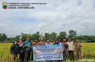 BUMDES Mulya Abadi Desa Cinta Mulya Bergerak di Bidang Pertanian
