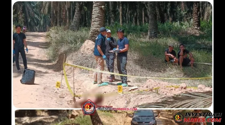 Mayat Pria Ditemukan di Parit Perkebunan Sawit PT Hindoli Keluang, Polisi Selidiki Penyebab Kematian