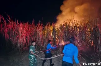 Babinsa Bersama Damkar Padamkan Kebakaran Lahan Tebu di Balangtanaya