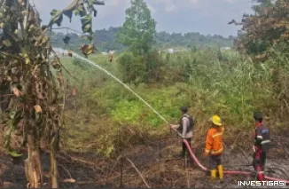 Bakar Rumput Kering, Api Merambat dan Hanguskan 1 Hektare Lahan di Lempake Tepian