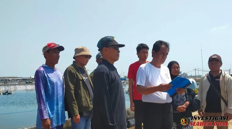 GJL Dukung Investasi Tambak Udang Vaname di Jepara , Tekankan Pentingnya Kelola Lingkungan