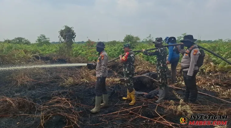 Karhutla Landa Tiga Wilayah di Bengkalis, Total 6,3 Hektare Lahan Terbakar