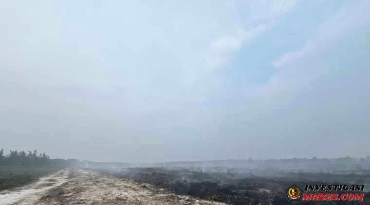 Pengembangan Kasus Karhutla di KM 75 Desa Tasik Tebing Serai, Polres Bengkalis Tetapkan Tersangka Dugaan Pendudukan Kawasan Hutan Tanpa Izin