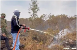 Kabut Asap di Pelalawan Berkurang, Karhutla Kerumutan Terkendali 100 Hektar di Rantau Baru Proses Pendinginan